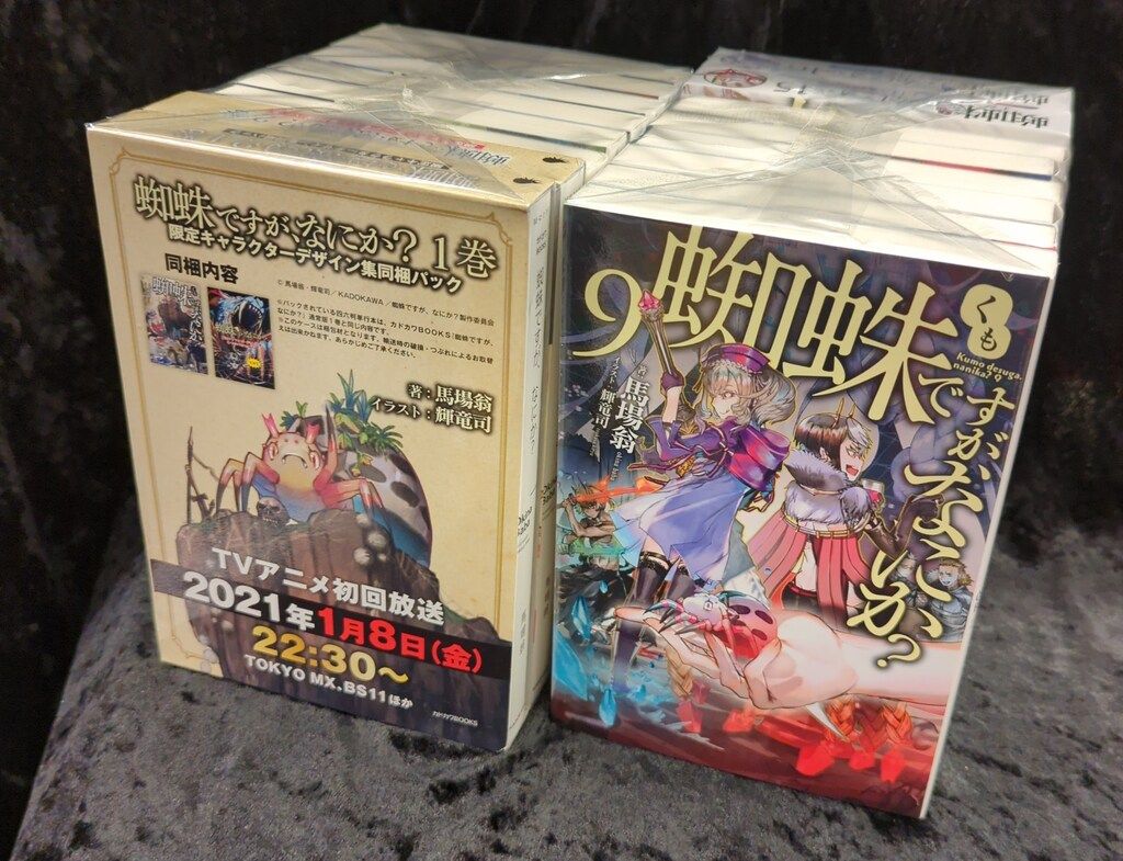 蜘蛛ですが何か？　全16巻小説セット 蜘蛛ですが、なにか? 全16巻+EX2巻セット 文学・小説