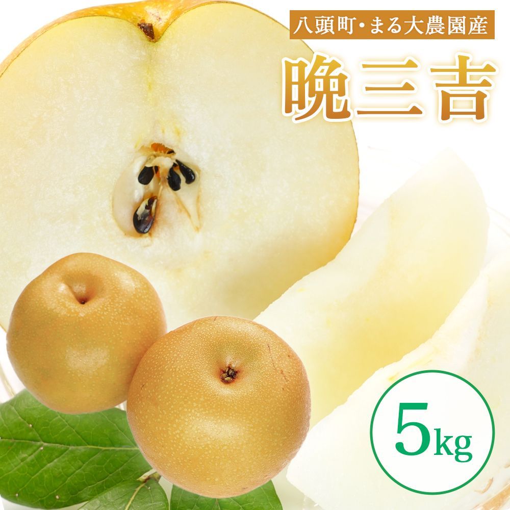 コレクション yosaセリテラフィット ボディ