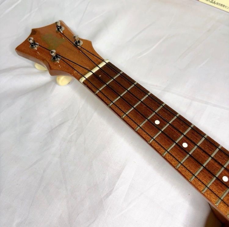 がくぶん 高木ブーの楽しいウクレレ