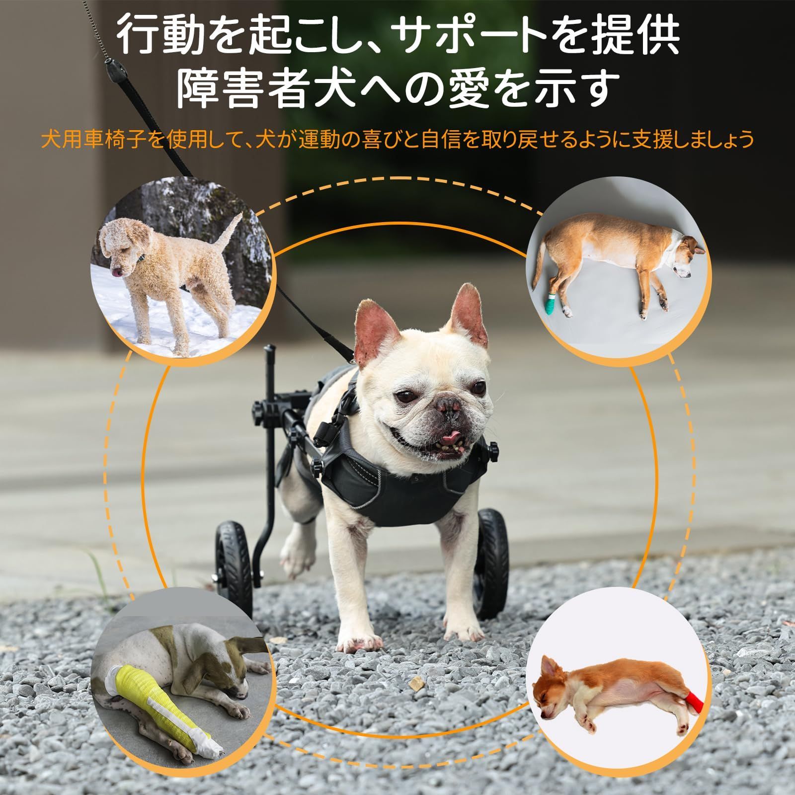 歩行補助 軽量 犬介護 歩行器 補助輪 犬用カート サイズ調整可能 犬用車椅子 着脱式ペットベスト２輪犬用カーと 犬リハビリ用具 犬ヘルスケア  BECEMURU (グレー M) - メルカリ