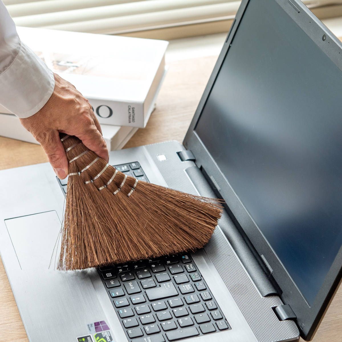 しゅろのやさしい小ぼうき 六玉