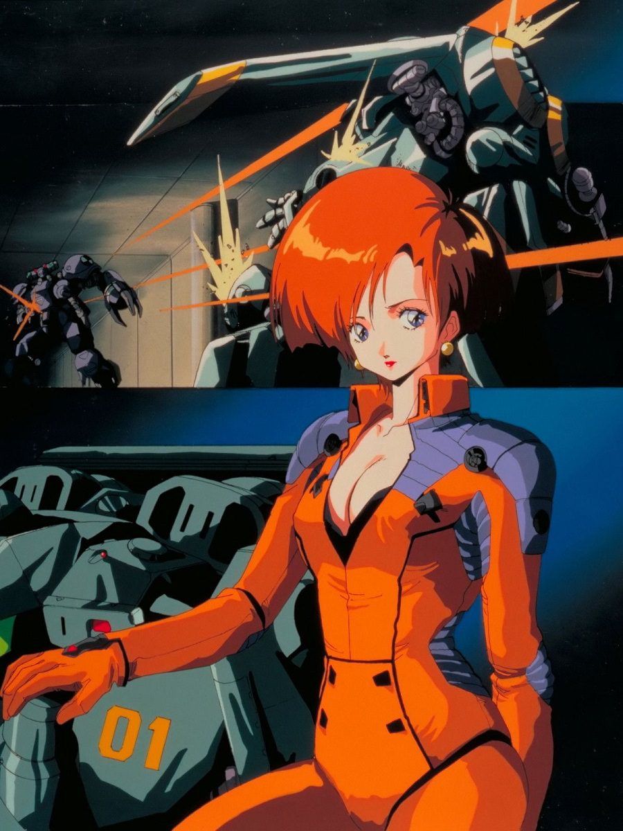 Blu-ray メタルスキンパニック MADOX-01 AnimEigo 北米輸入版