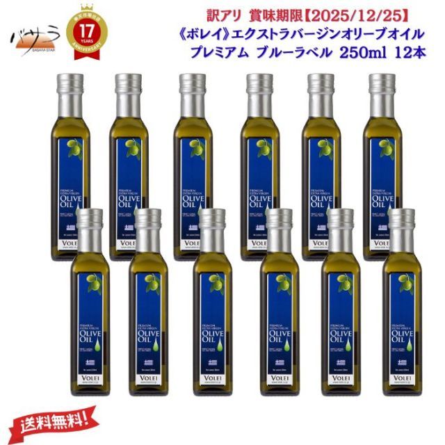 AMNESIA 花邑まい 画集 特典 イラストカード シン＆トーマ AMNESIA