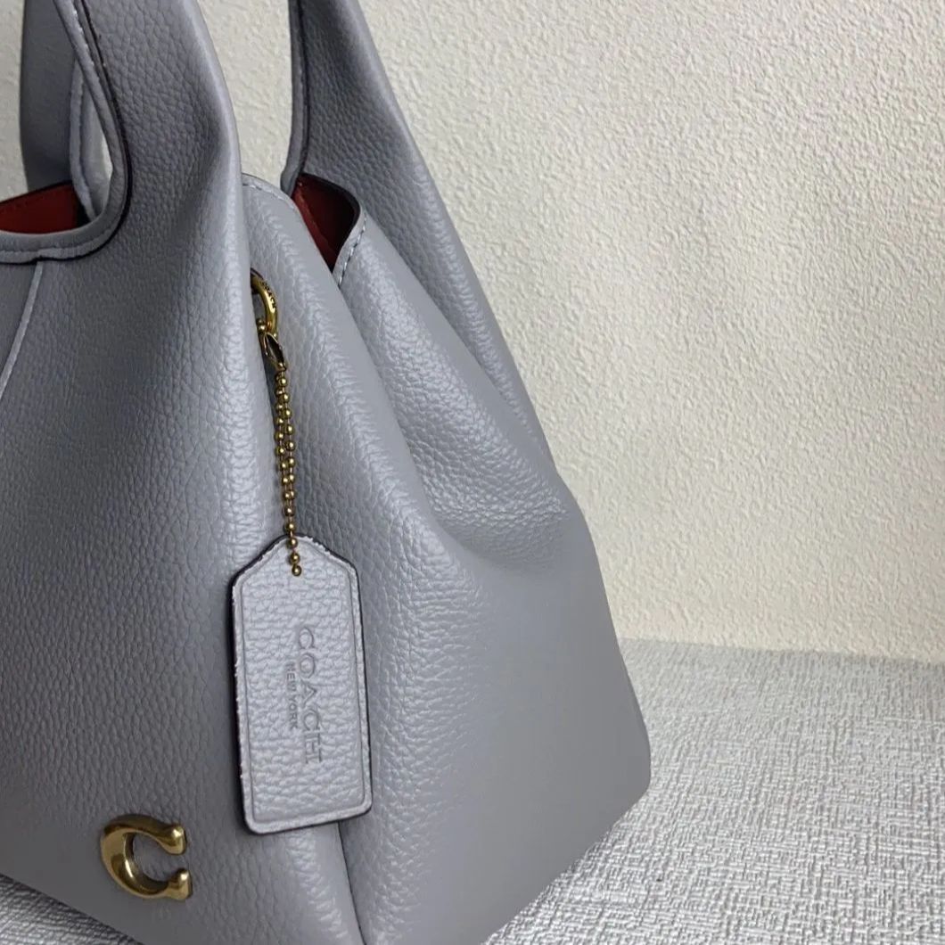 新品COACH ラナ ショルダーバッグ 23 ハンドバッグクロスボディ