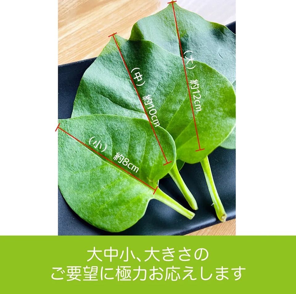無農薬】オカワカメ 雲南百薬 約200g スーパーフード - メルカリ