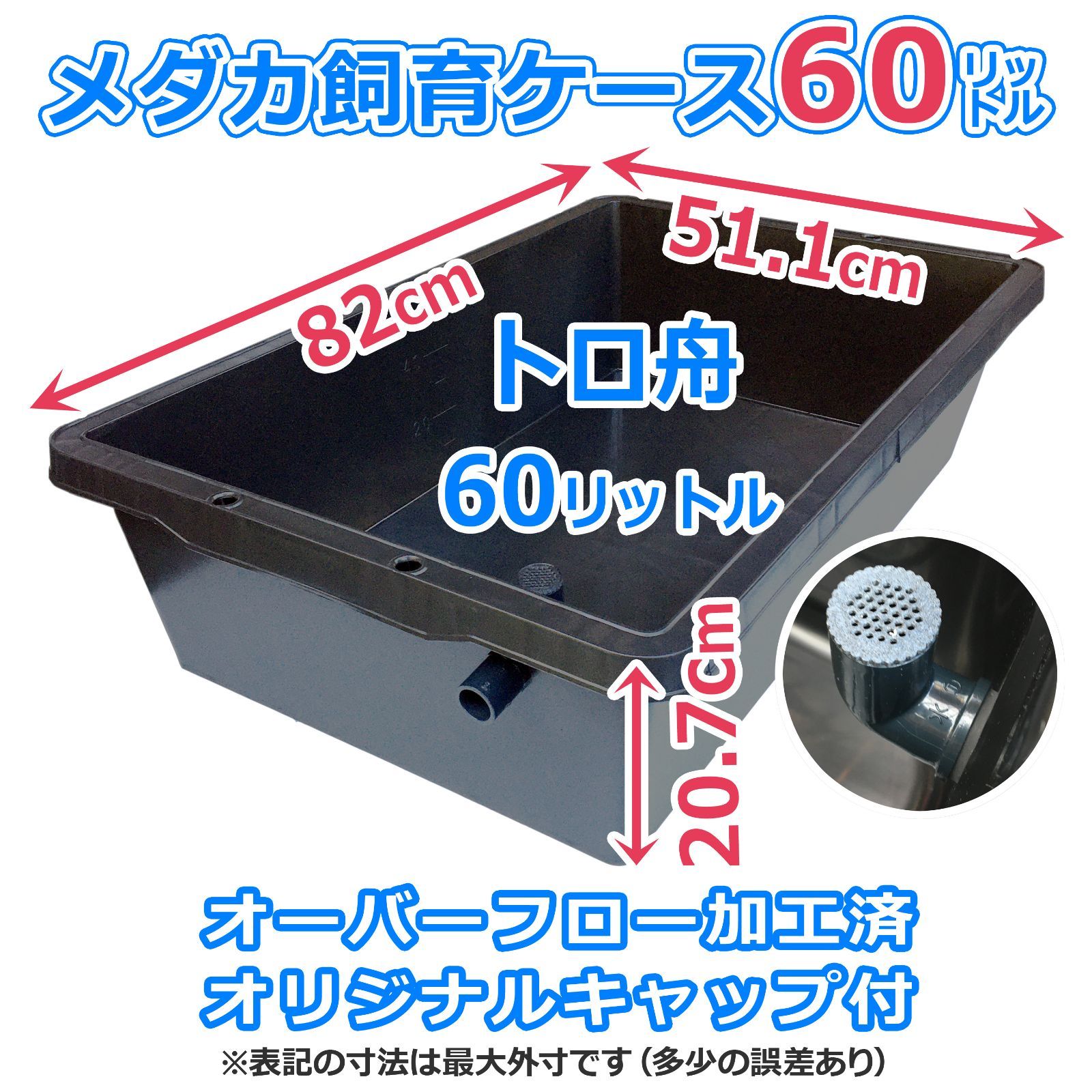 らんちゅう 約82cmx約51cmx約20.7cm