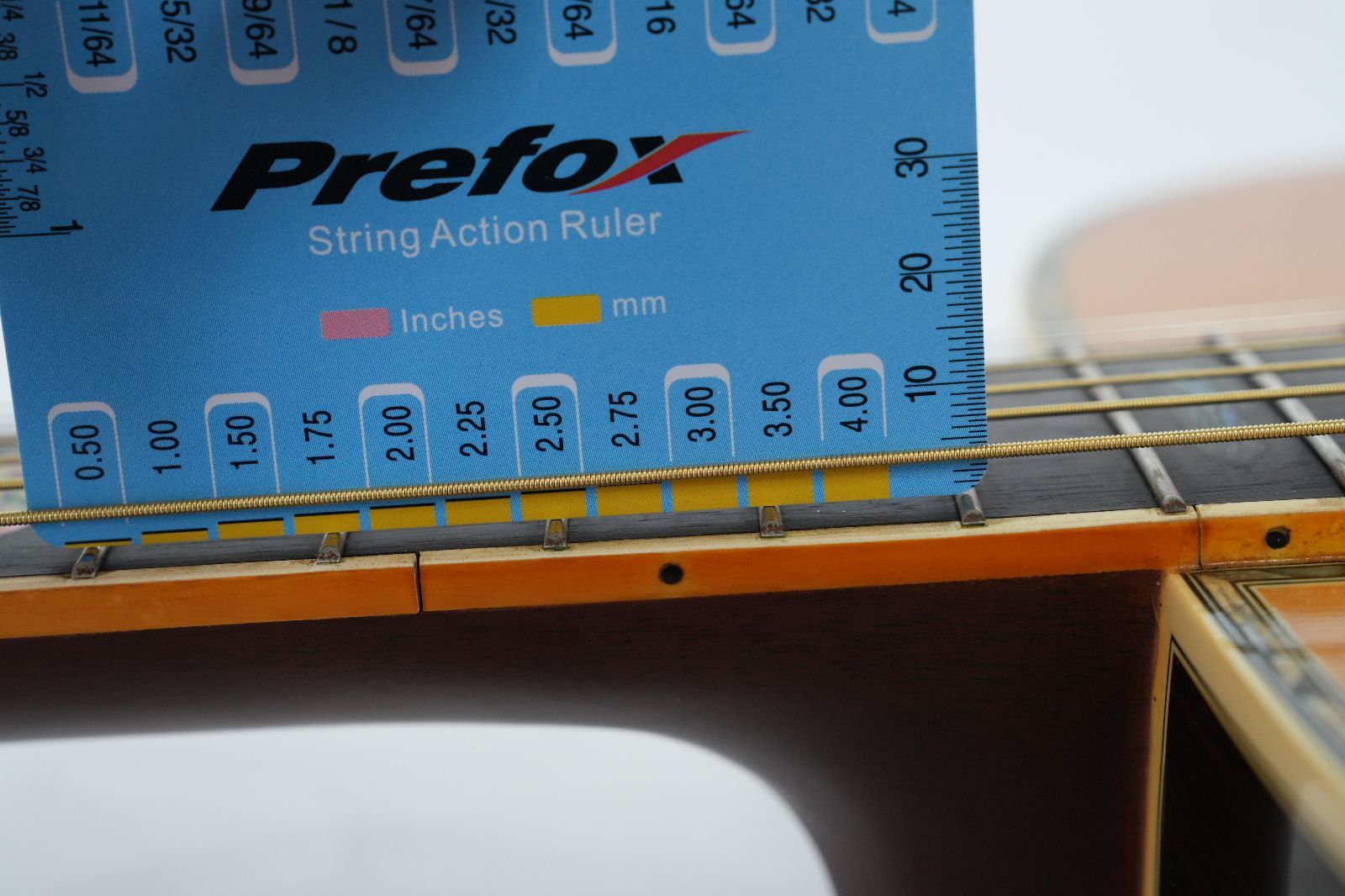 W-800 ドレッドノート