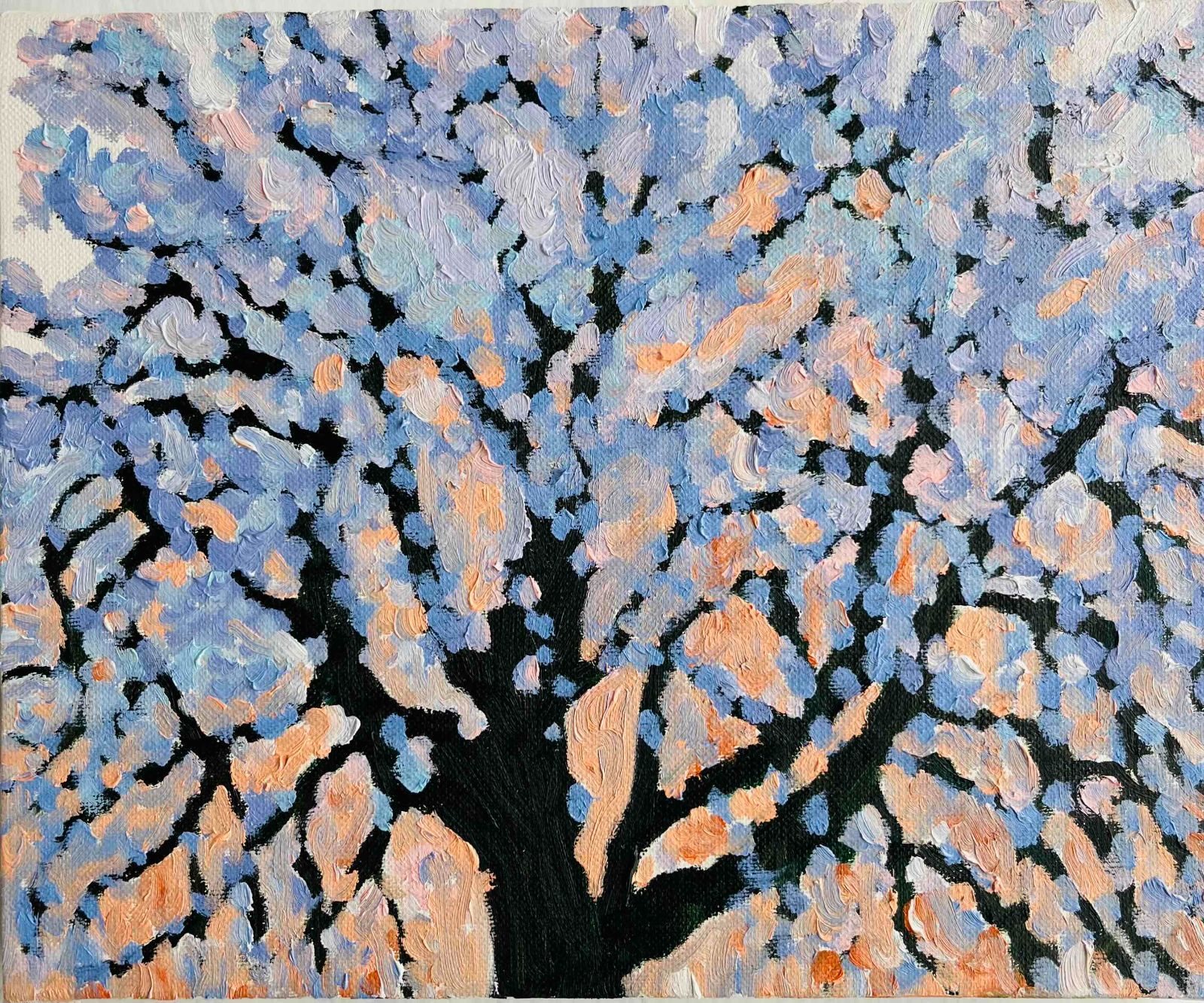 22×27㎝「朝の桜 2025.1-2」油彩・原画・F3