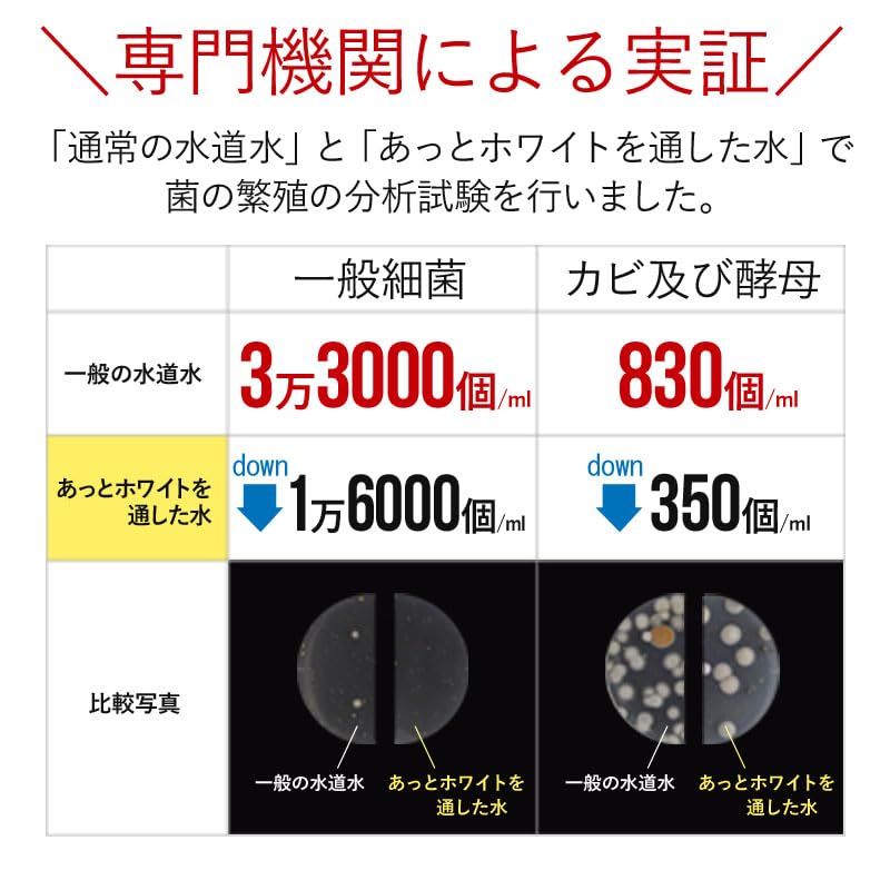 自動洗浄