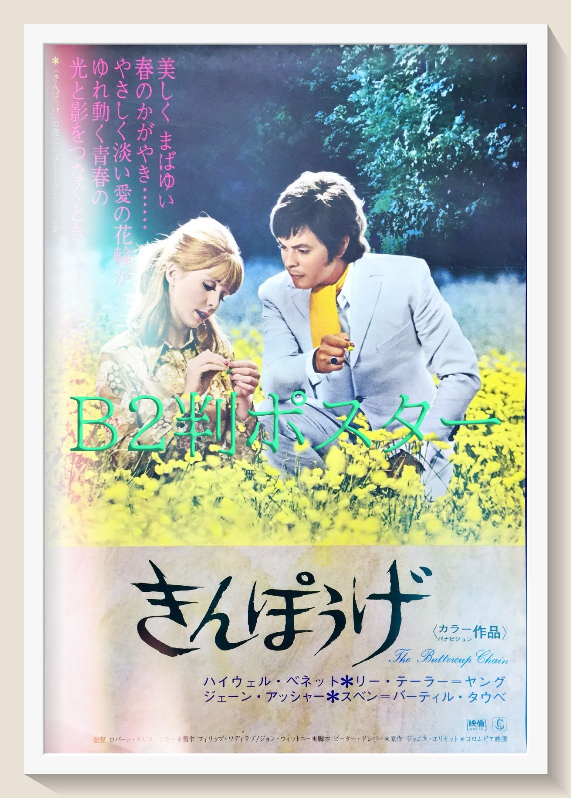 きんぽうげ 映画オリジナルB2判ポスター