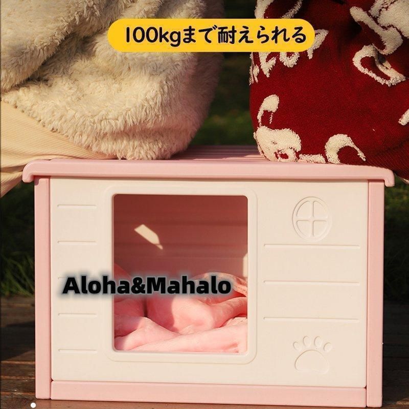 犬小屋 野良猫