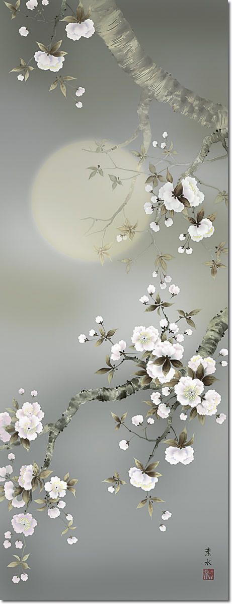 絵画 | (月と桜)月に照らされる夜桜掛け軸・満月掛け軸・夜桜掛け軸