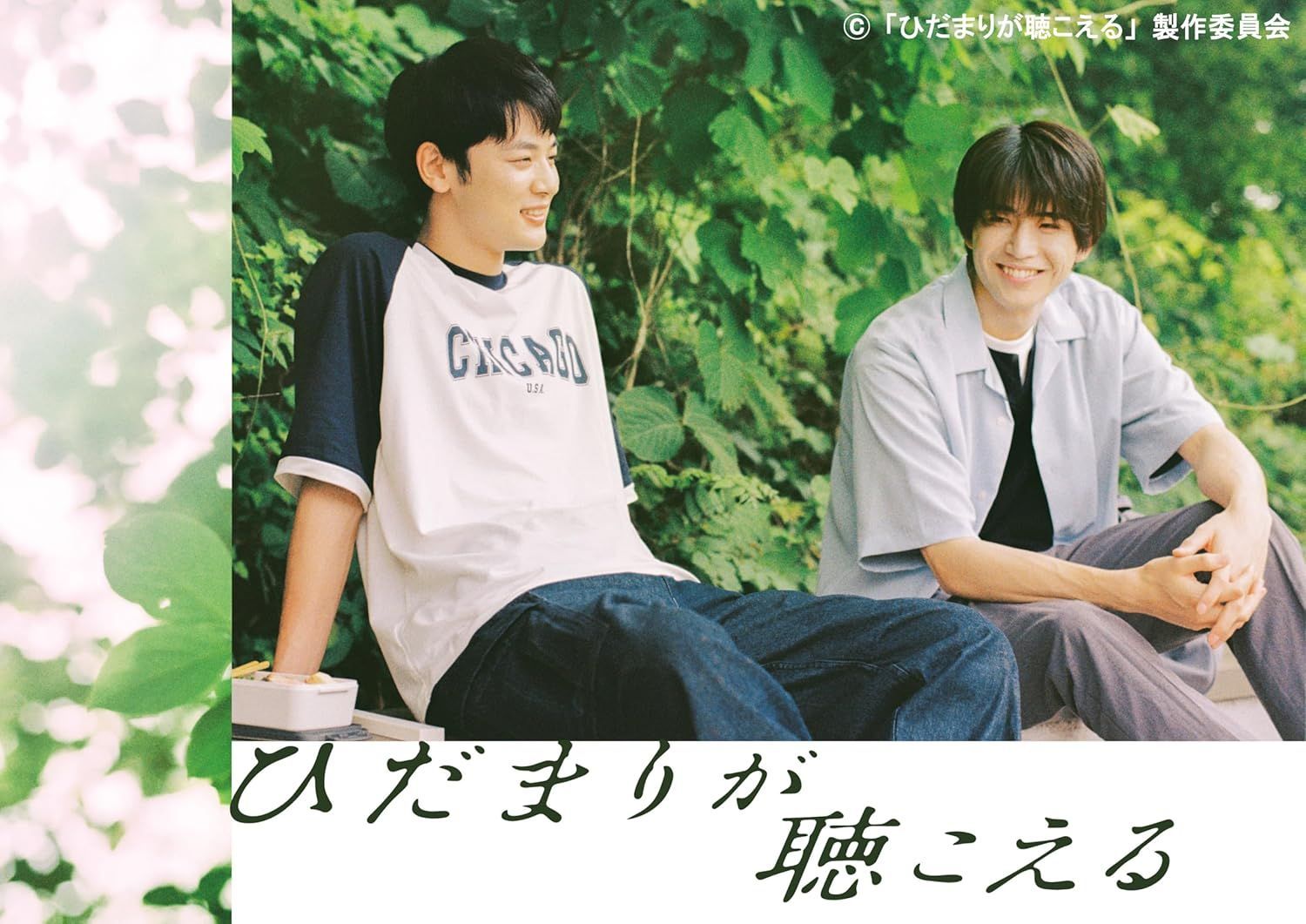 未開封　ひだまりが聴こえる DVD-BOX 中沢元紀 小林虎之介 新品未開封☆ひだまりが聴こえる DVD-BOX 中沢元紀, 小林虎之介