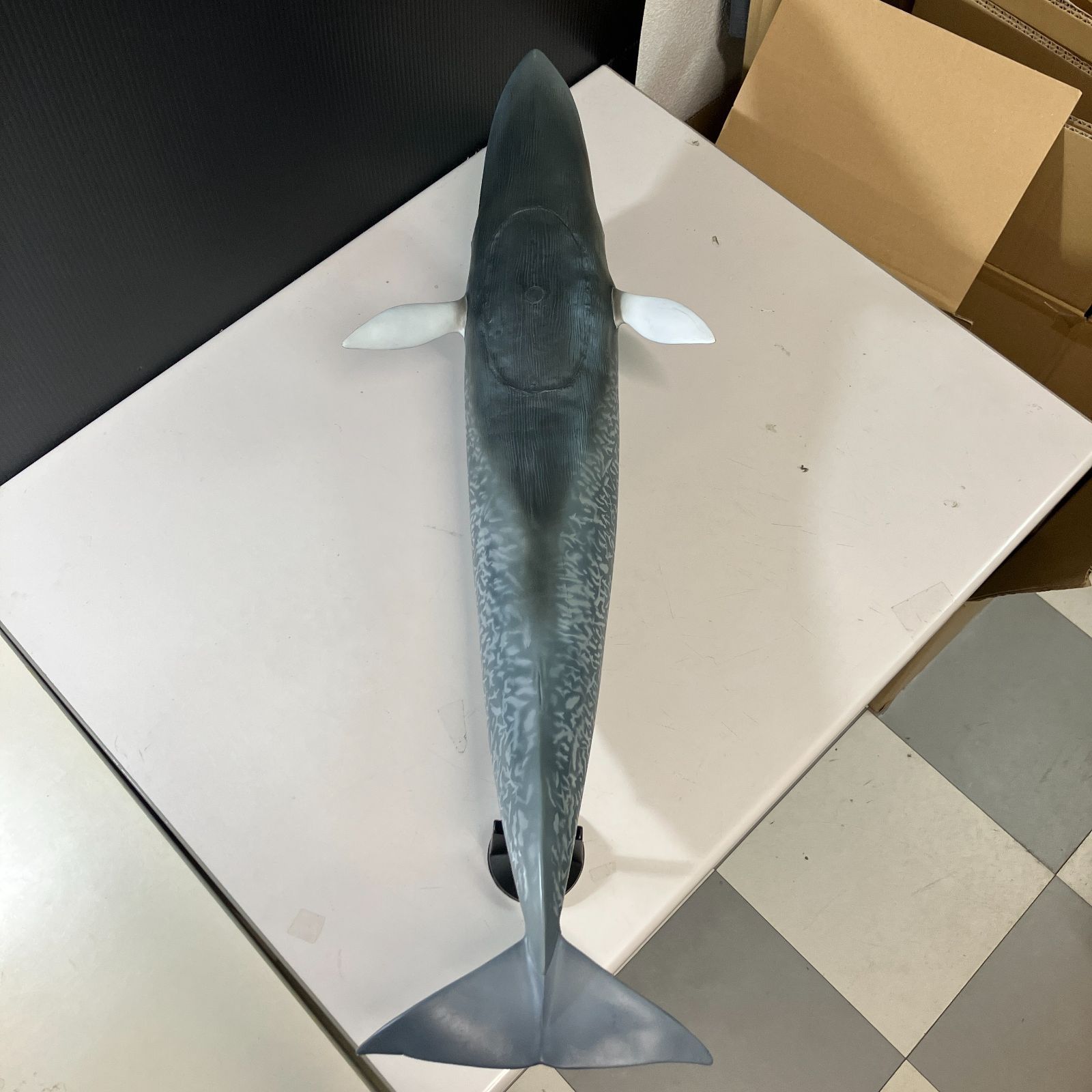 シロナガスクジラ 超ビッグフィギュア ◆ メガソフビアドバンス メガソフビアドバンス シロナガスクジラ [海洋堂]