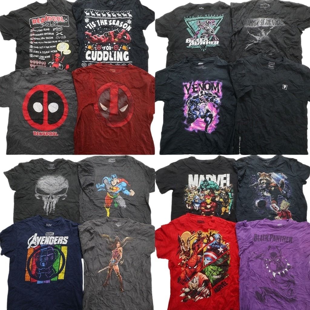 古着卸 まとめ売り マーベル DCコミック 半袖Tシャツ 16枚セット (メンズ L ) アヴェンジャーズ スパイダーマン 中古 古着 MZ0581