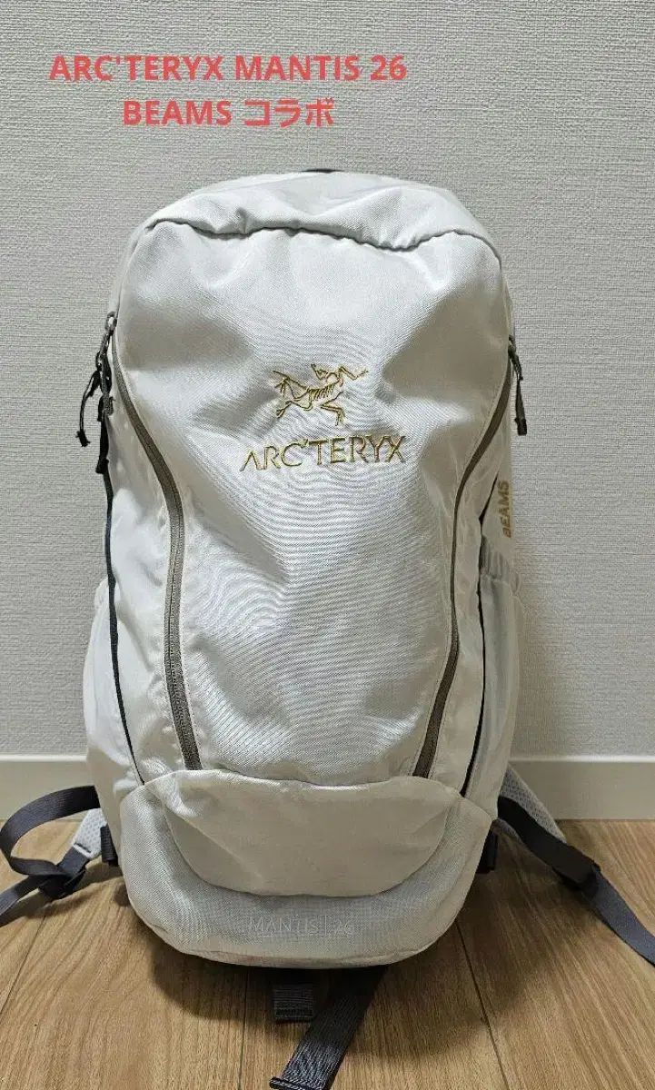 ARC TERYX アークテリクス Mantis マンティス 26 ビーム バックパック