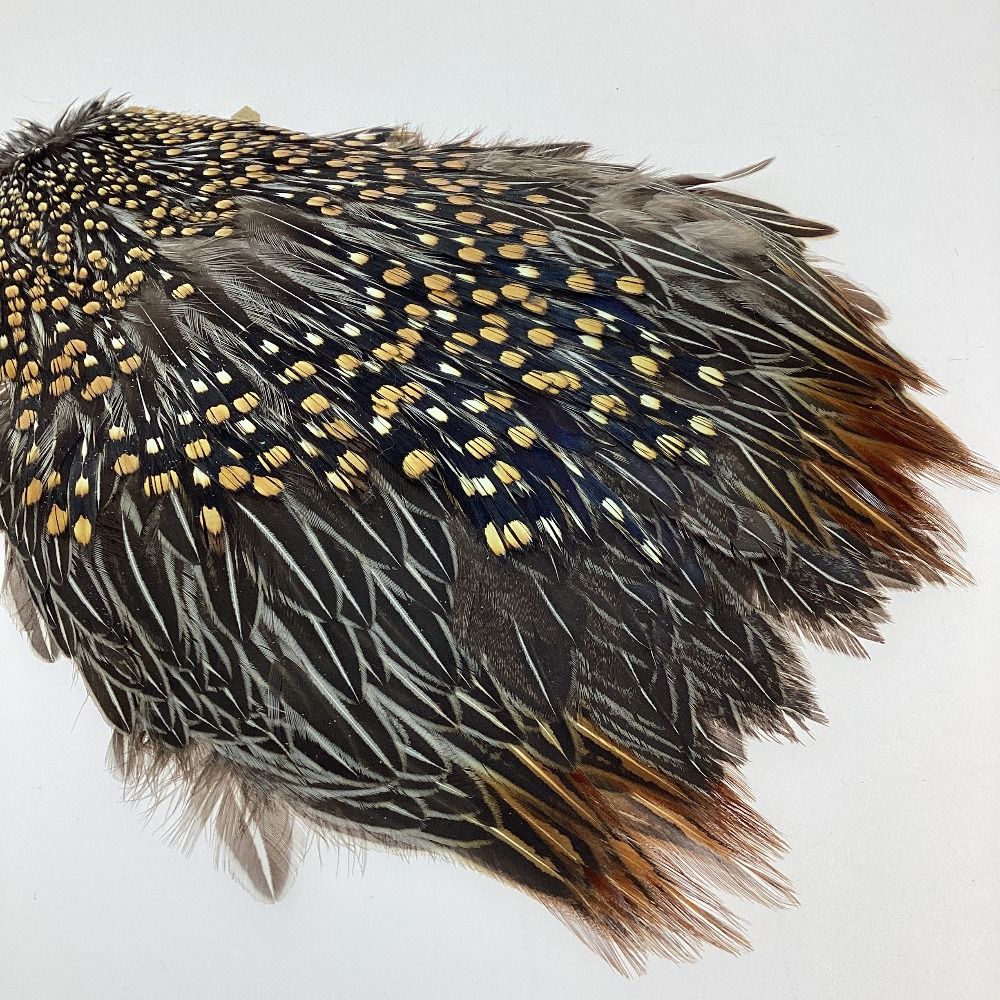 ジャングルコック　フライマテリアル キャナル｜フライマテリアル｜ジャングルコック｜Jungle Cock