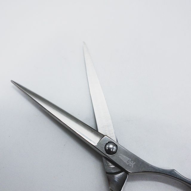 ハヤシシザー　美容師　ハサミ　シザー　メガネ ハヤシシザーズ ハヤシシザーHAYASHI SCISSORS】 シザー メガネ