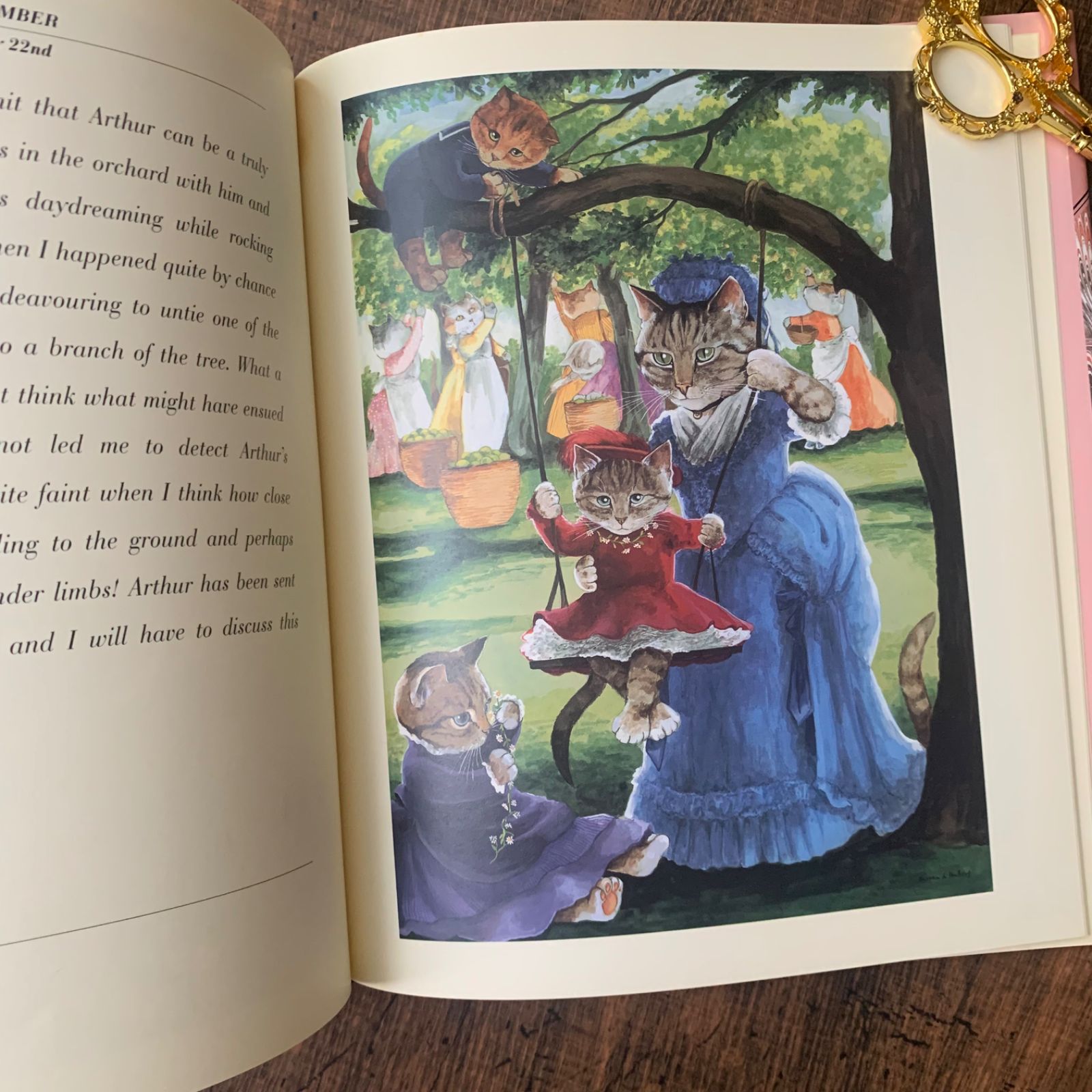 キュートな猫洋書　猫洋書　ヴィクトリアン洋書　猫写真洋書　猫ミニトランプ 猫好きさん必見】レトロ 洋書 Diary of a Victorian Cat