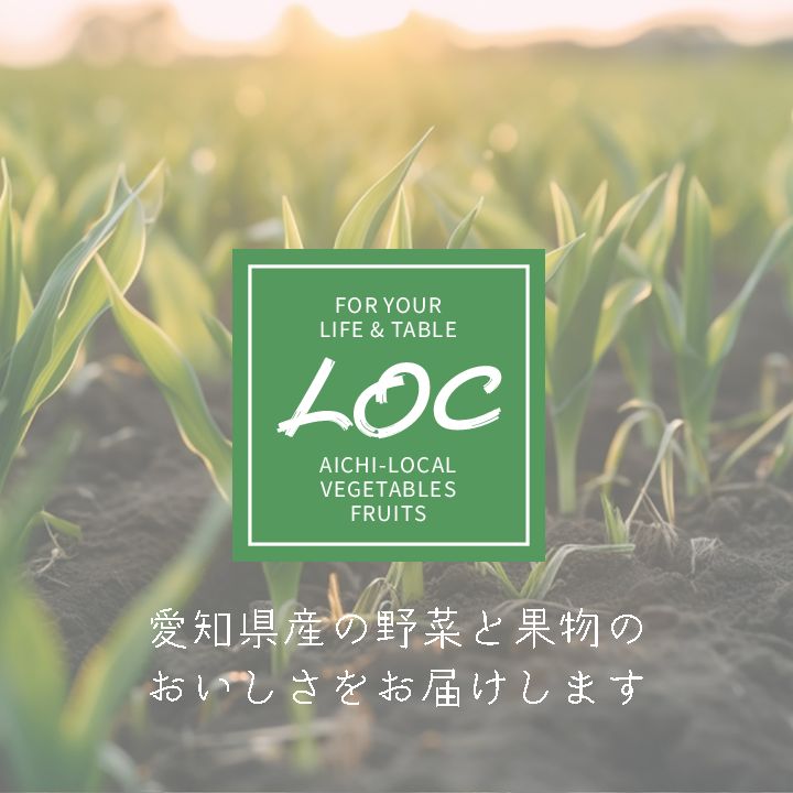 翌日発送 紅みかん 箱込約１０㌔高級味濃い 高騰中 みかん 小原紅早生 翌日発送 紅みかん 箱込約10㌔高級味濃い 高騰中 みかん 小原