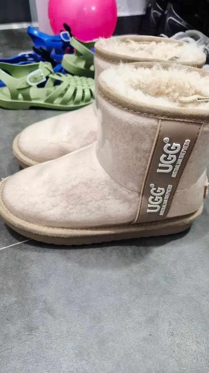 クリアアグ 29-31サイズ クリームチェスナット