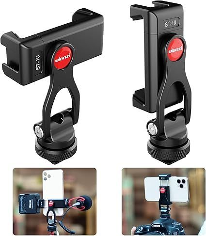 カール・ラーション、鏡の前で、自画像、希少画集画、新品額装付