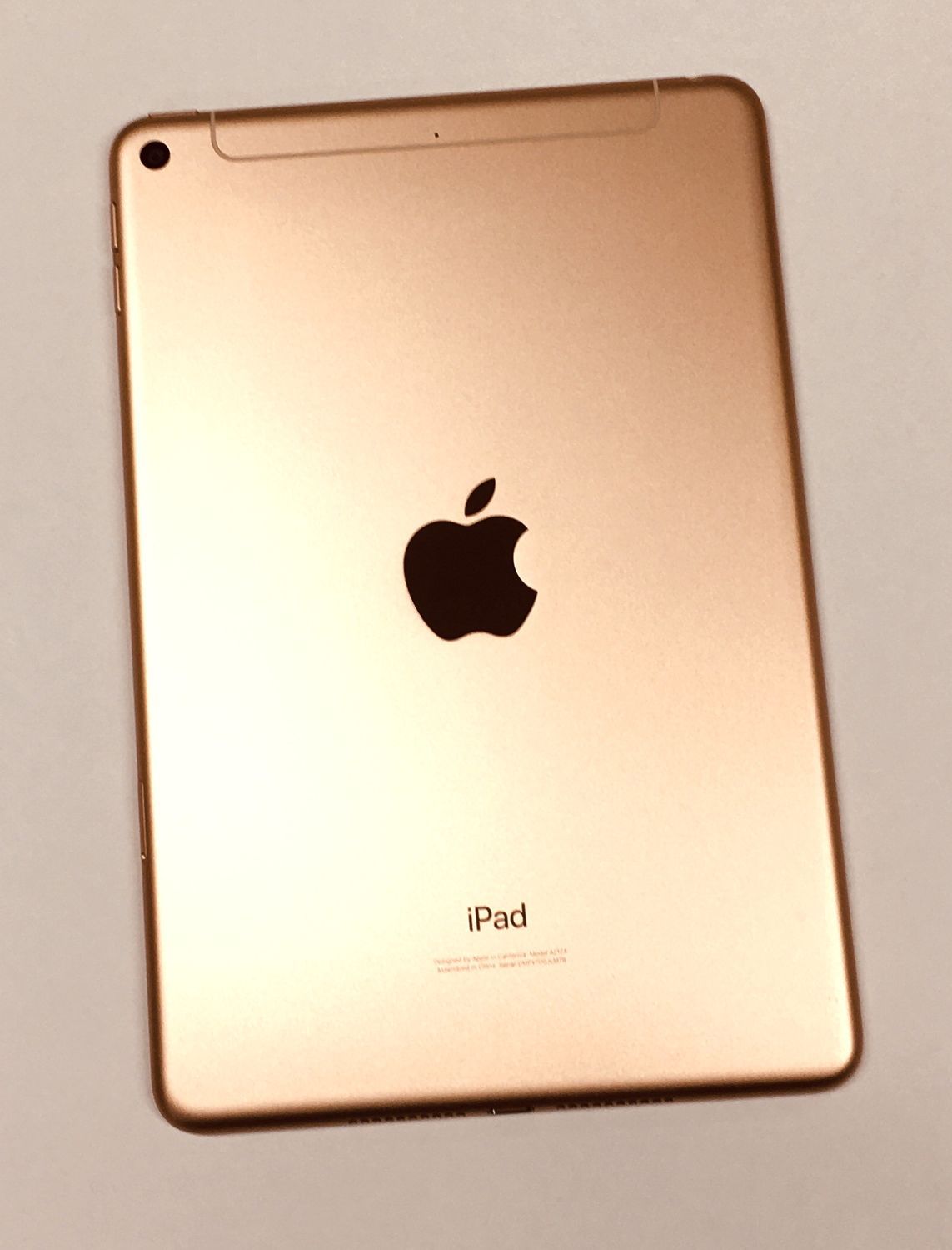 Apple iPadmini(第5世代)セルラーモデル 64GBゴールド iPad mini 5 Wi-Fi 64GB - ゴールド [整備済製品] - Apple（日本）