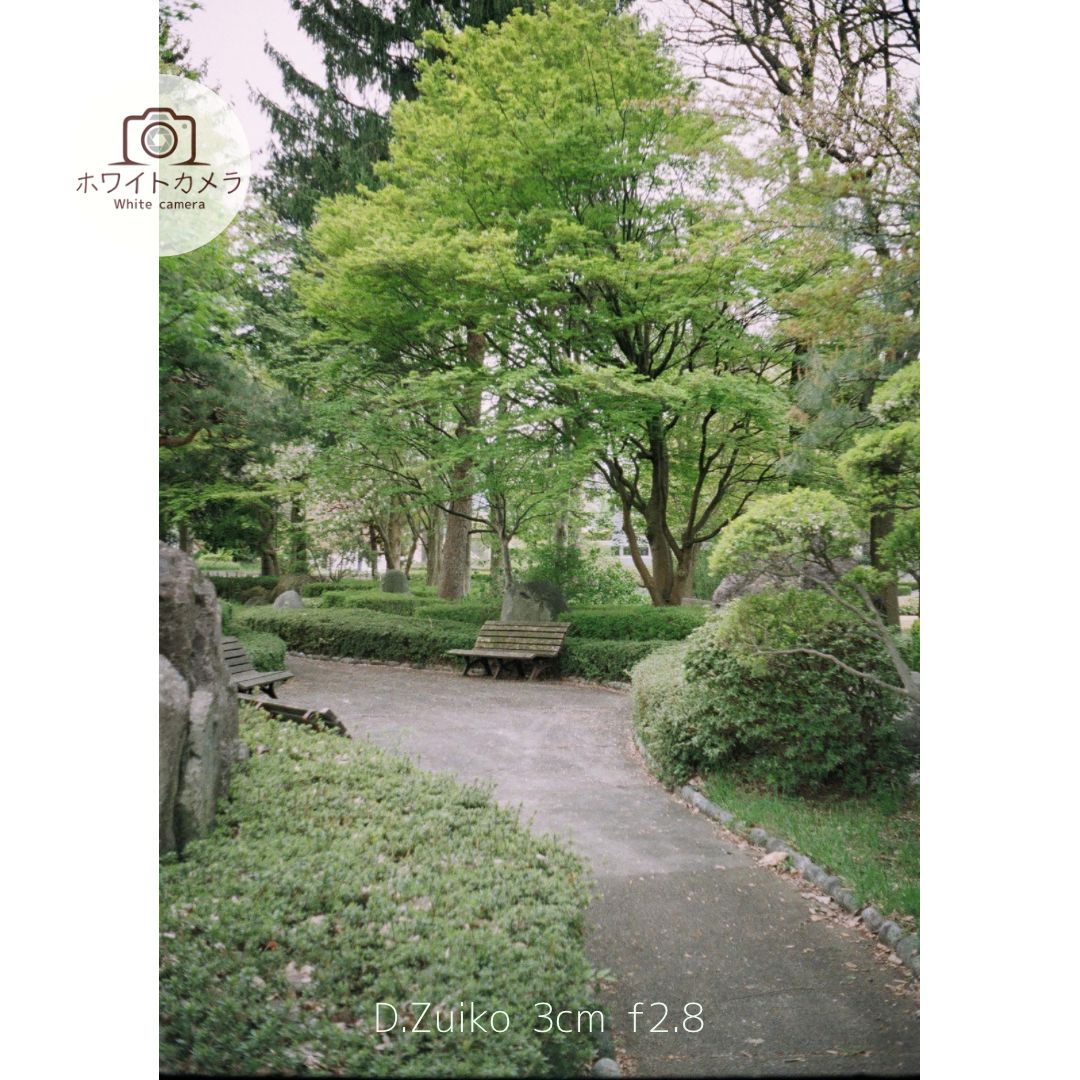 フィルムカメラ