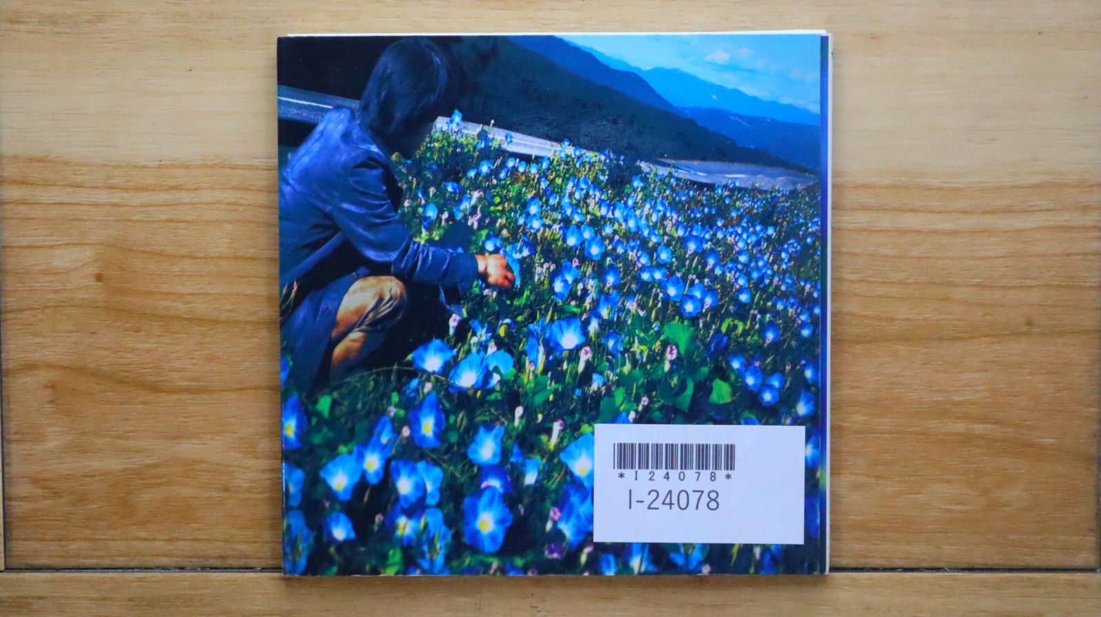 朝顔/レミオロメン 朝顔/レミオロメンの通販 by Takk's shop｜ラクマ