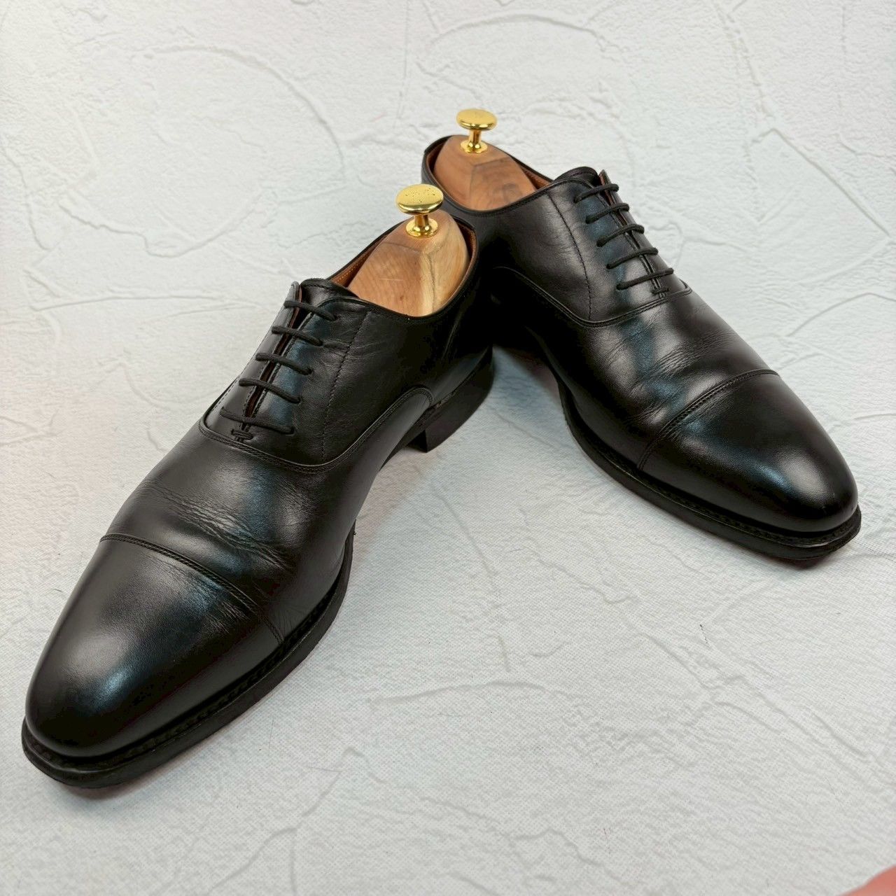 マリーアントワネット　カット苗　多肉植物　ゆうパケットプラス発送 マリーアントワネット カット苗 多肉植物 ゆうパケットプラス発送