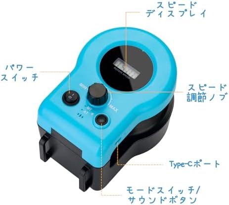 鳥音