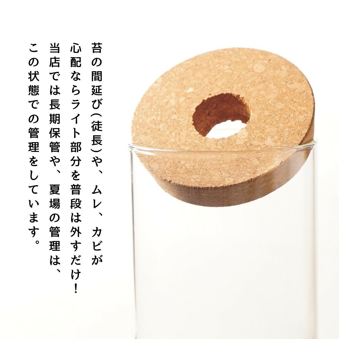新生活 入学祝い
