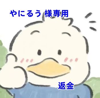 やにるう 様専用 - メルカリ