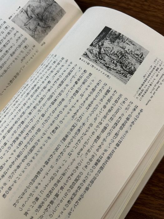 ヒエロニムス・ボスの図像学: 阿呆と楽園に見る中世 (神戸学院大学人文学部人間文化研究叢書) 人文書院 神原 正明 - メルカリ