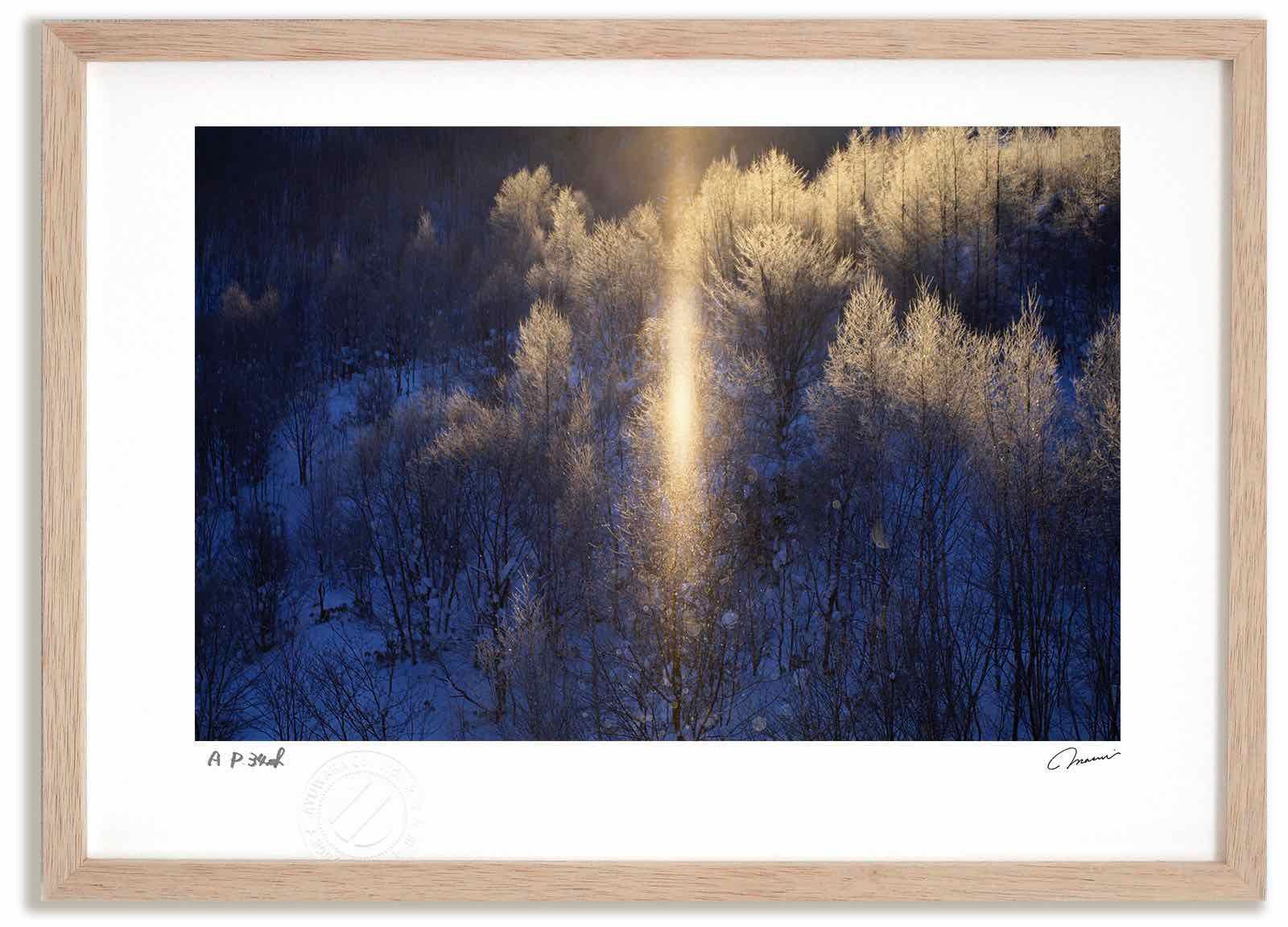 カルビー製菓 【旧仮面ライダーカード】 表14局版 空とぶ怪人ムササビ