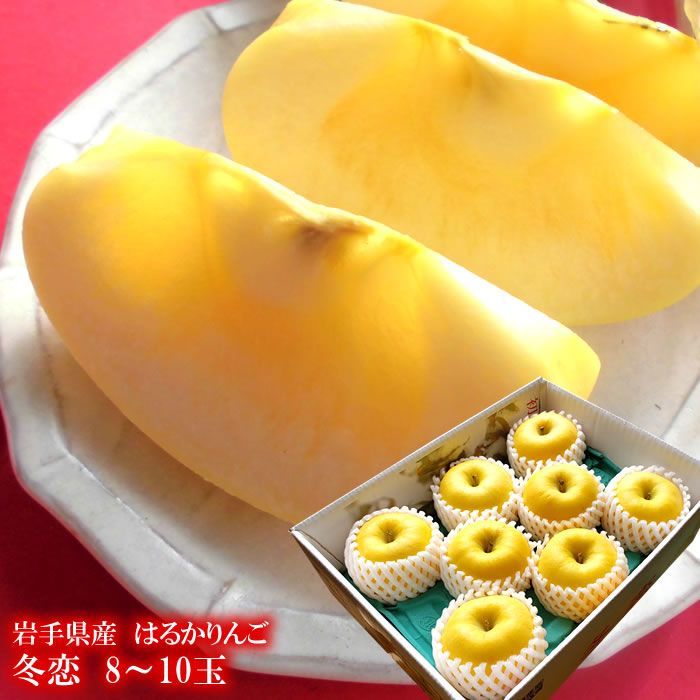 岩手県産はるか お歳暮 りんご 林檎 リンゴ 冬恋はるか8〜10玉 12月中旬頃からの発送 お歳暮 冬ギフト 内祝い 出産内祝い お祝い 謝礼 お礼 お見舞い 快気祝い お供え ご霊前 手土産ギフト ゴルフコンペ ご結婚お祝い 結婚内祝い 寿