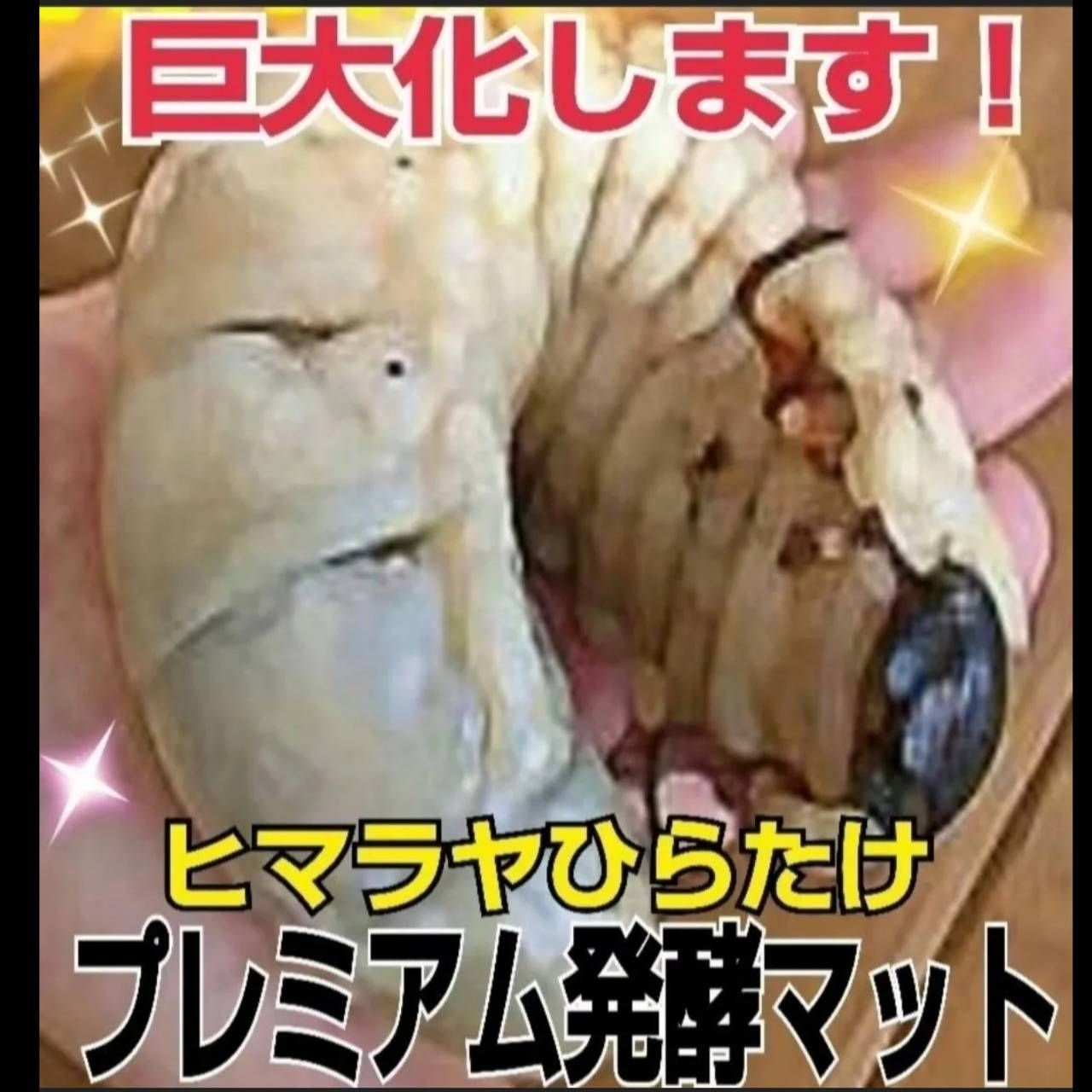 産卵にも抜群です 雑虫がわきません