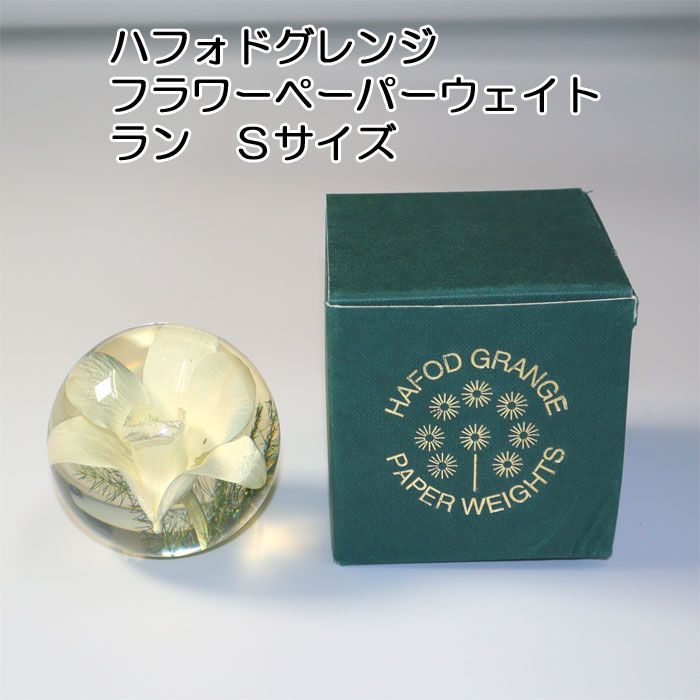 ラージ　ハフォドグレンジ ◆ ウェールズで育った本物のお花のペイパーウェイト ラージ ハフォドグレンジ ◇ ウェールズで育った本物のお花の