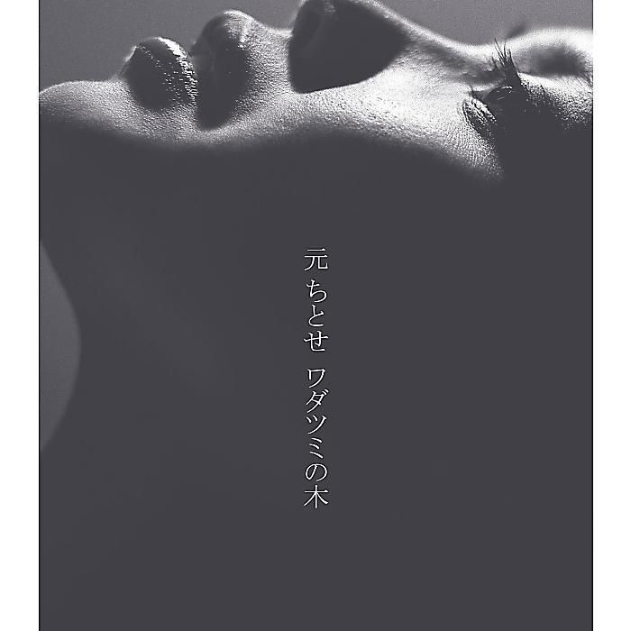 新品，お買い得 高橋ひろ／高橋ひろ MEDIA REMORAS YEARS REMASTERED BOX