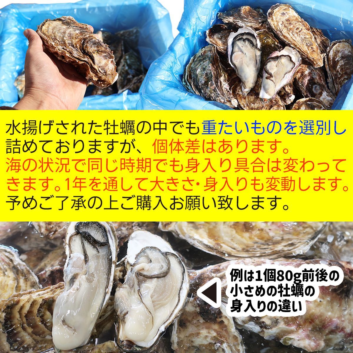 牡蠣 生食用