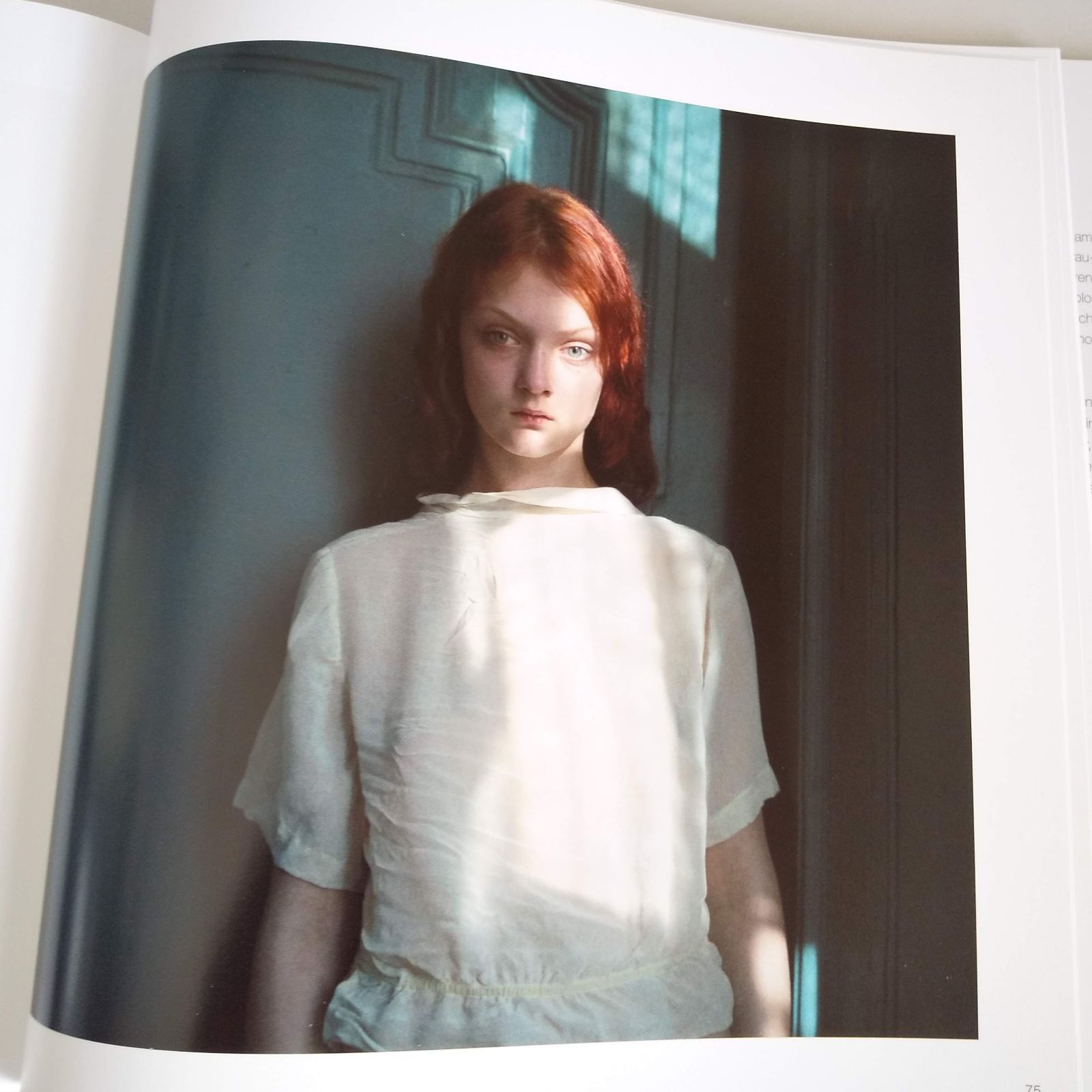 Hellen van Meene: Tout Va Disparaitre - メルカリ