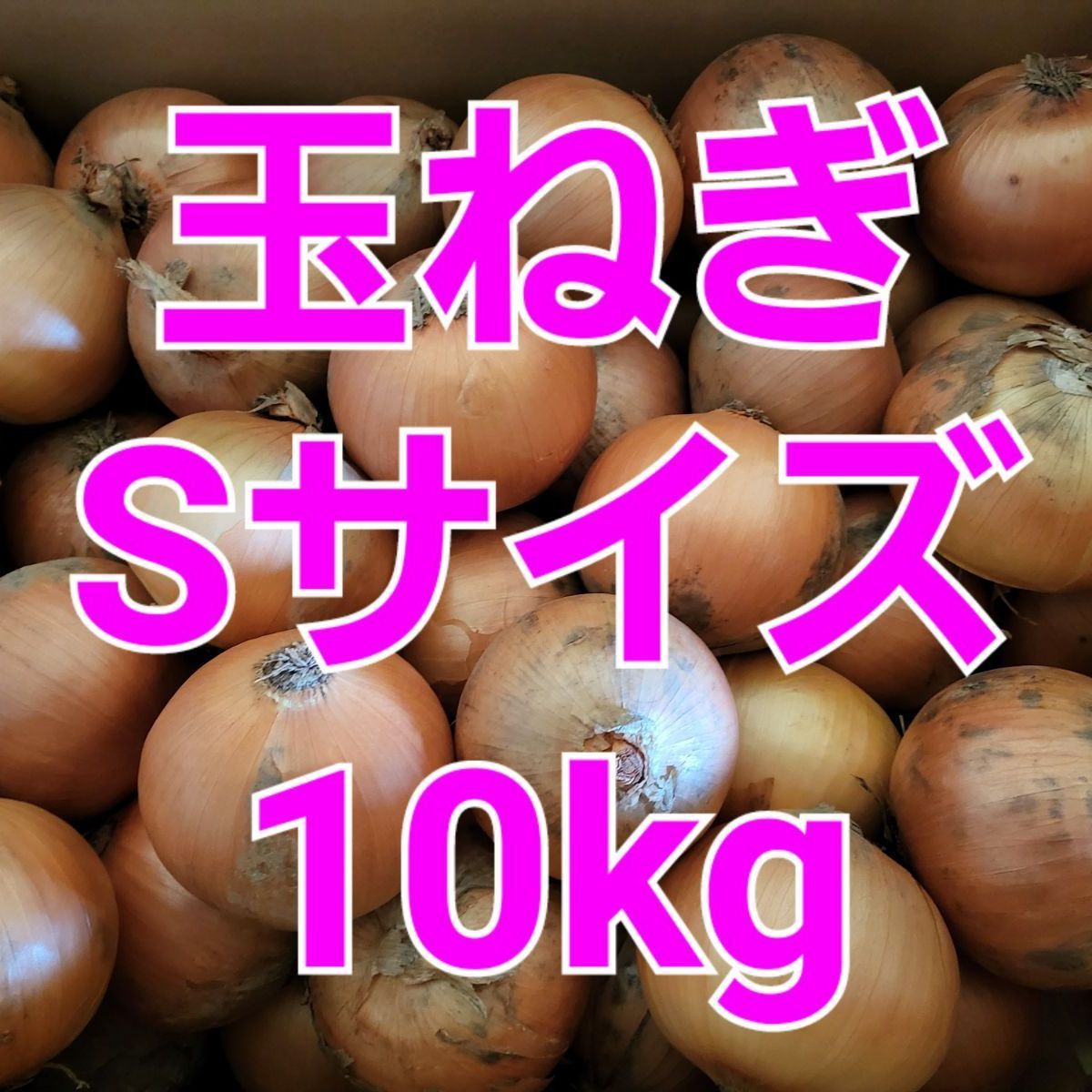 北海道産 たまねぎ Sサイズ【箱込み10キロ】 - メルカリ