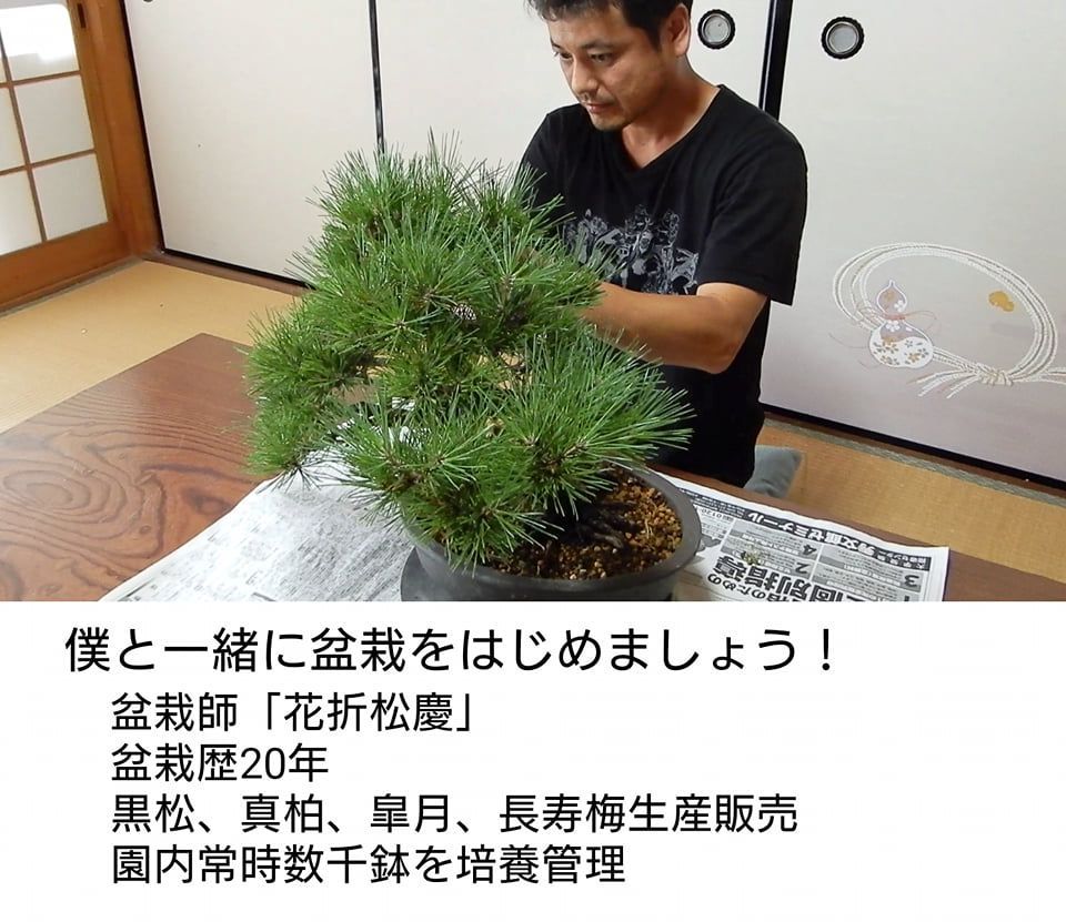 花火 はなび