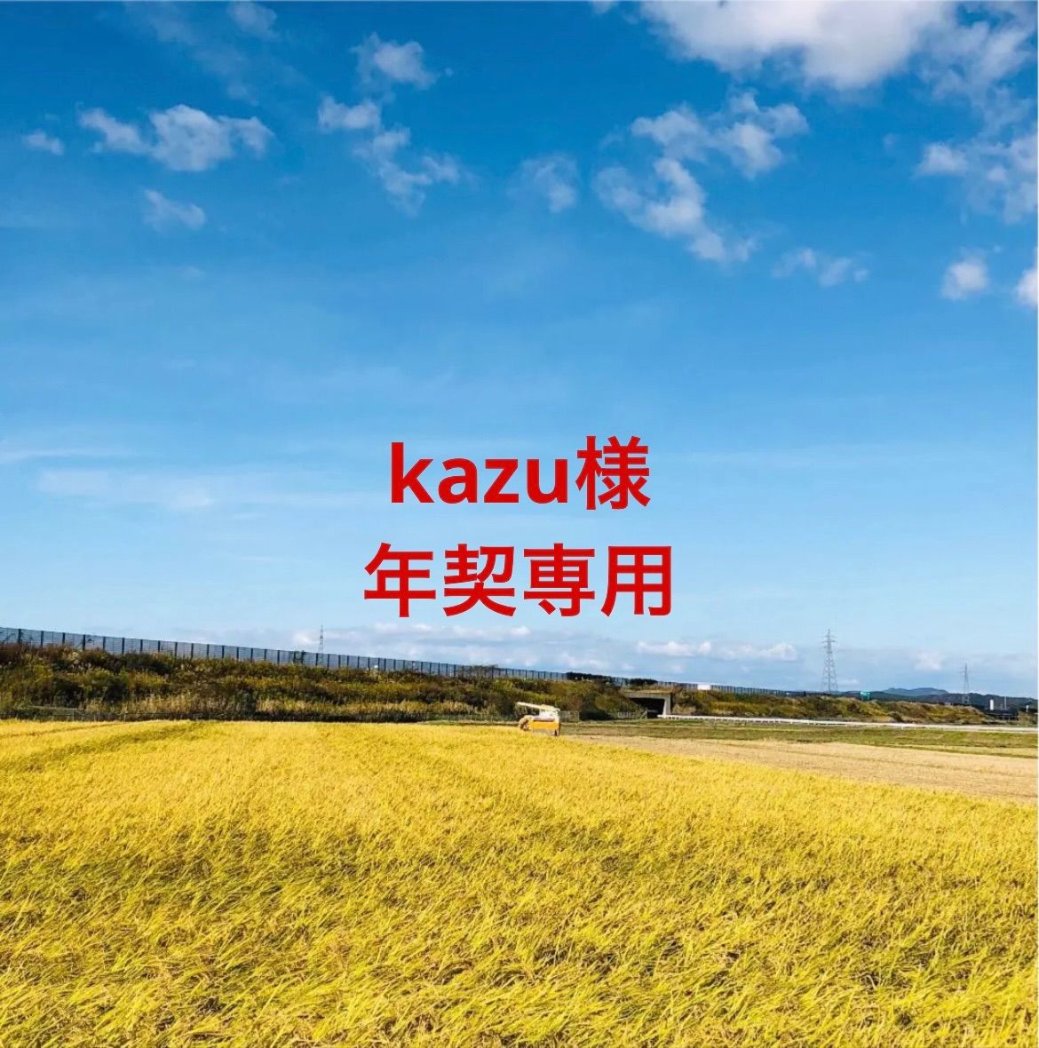 【kazu様年契専用】令和６年度新米あきたこまち玄米30Kg