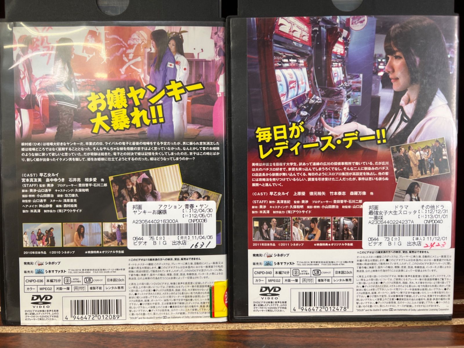 早乙女ルイ dvd 