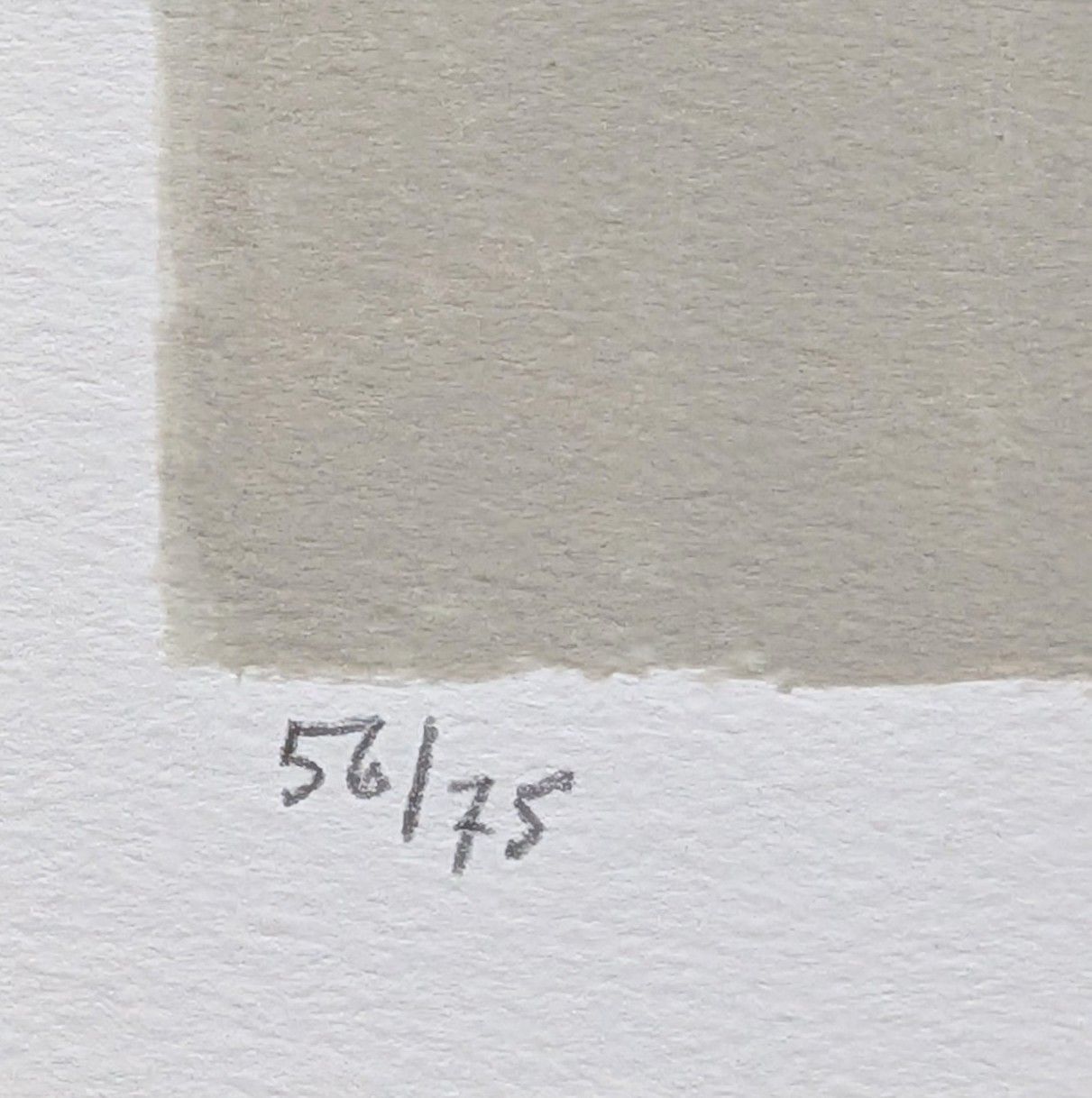 真作 ベルナール カトラン 灌木の花束 直筆サイン リトグラフ UBS-PPNI_AC_ID