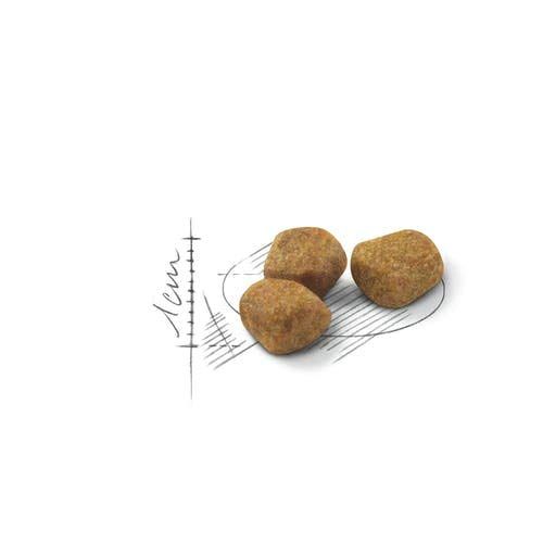 猫用 3.5kg