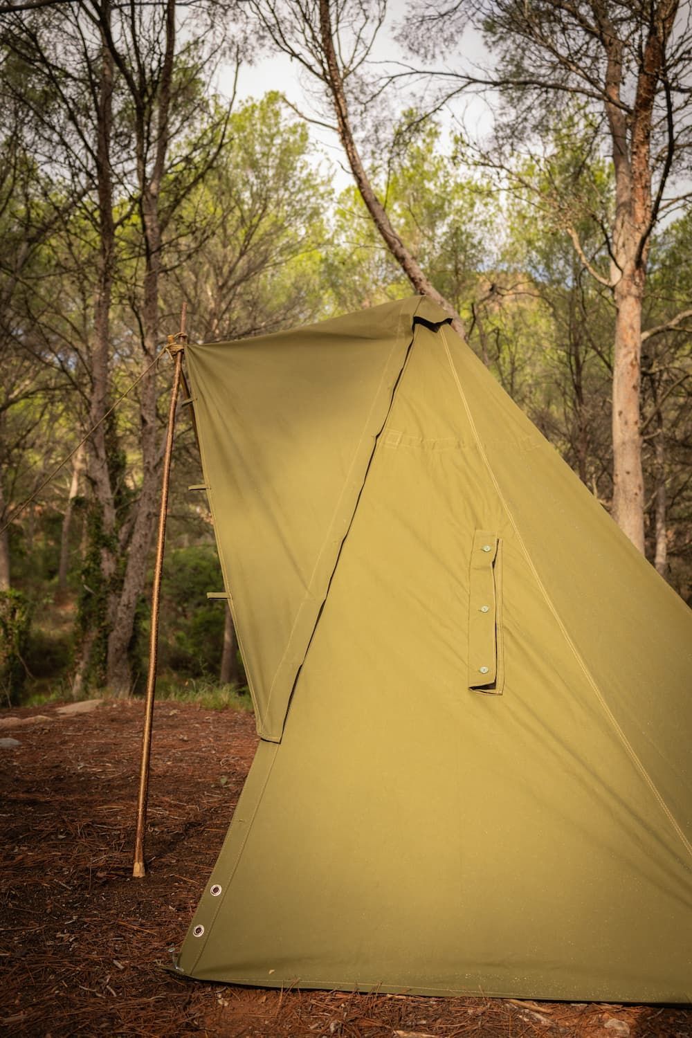 ブッシュクラフトスペイン