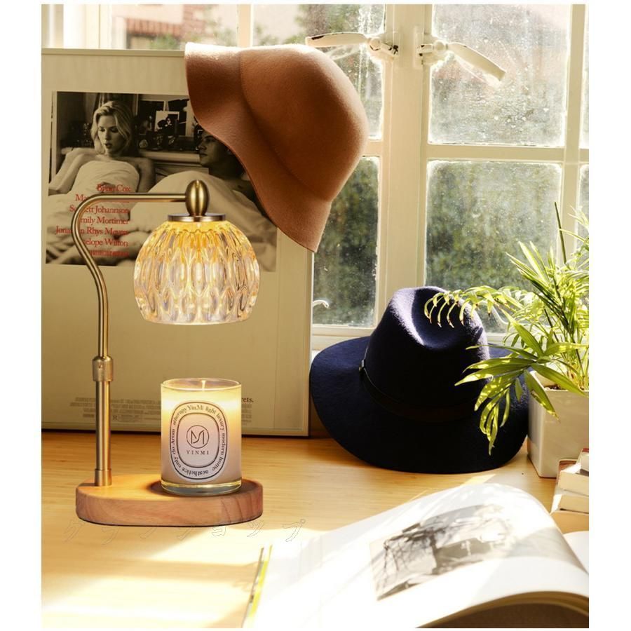 特大サボテン アリオカルプス皺玉牡丹 鉢ごと発送：青磁牡丹 ゴジラ カリフラワー 特大サボテン アリオカルプス皺玉牡丹 鉢ごと発送：青磁牡丹 ゴジラ