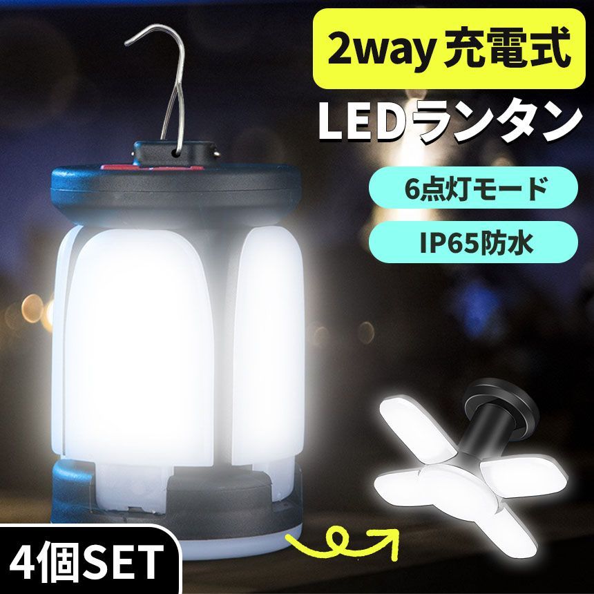 レア 高級 SUZUKI MD-6 マンドラ 弦楽器 リブ彫り ハードケース付き